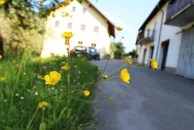 Ferienwohnung Huber Engelhartszell Buitenkant foto
