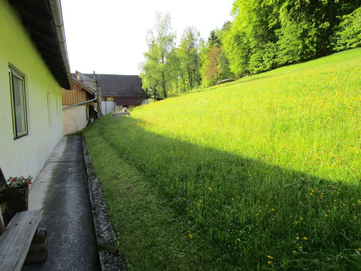 Ferienwohnung Huber Engelhartszell Buitenkant foto